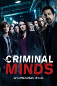 Criminal Minds Season 13 อ่านเกมอาชญากร ปี 13