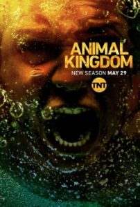 Animal Kingdom Season 3