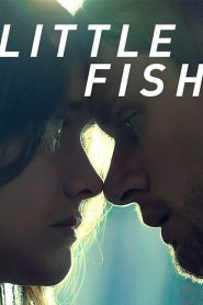 Little Fish (2020)