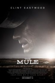 The Mule เดอะ มิวล์