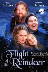 Flight of the Reindeer (2000) ผจญภัยเมืองมหัศจรรย์