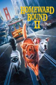 Homeward Bound II Lost in San Francisco (1996) 2 หมา 1 แมว หายไปในซานฟรานซิสโก