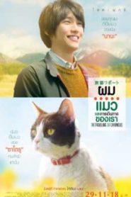 The Travelling Cat Chronicles ผม แมว และการเดินทางของเรา