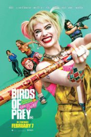 Birds of Prey ทีมนกผู้ล่า กับฮาร์ลีย์ ควินน์ ผู้เริดเชิด