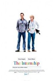 The Internship (2013)