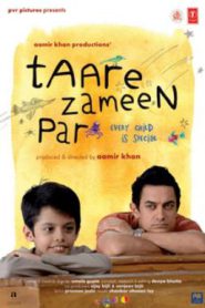 Taare Zameen Par (2007) ดวงดาวเล็กๆ บนผืนโลก