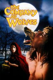 The Company of Wolves (1984) เขย่าขวัญสาวน้อยหมวกแดง