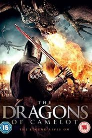 Dragon Of Camelot (2014) ศึกอัศวินถล่มมังกรเพลิง