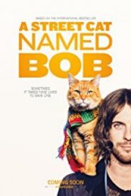 A Street Cat Named Bob (2016) บ๊อบ แมว เพื่อน คน
