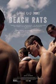 Beach Rats บีช แรทส์