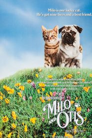 The Adventures of Milo and Otis (1986) แมวจ๋าหมาอยู่นี่