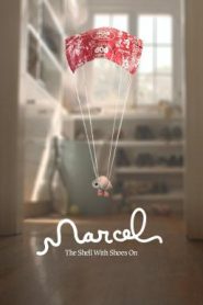 Marcel the Shell with Shoes On (2021) บรรยายไทย