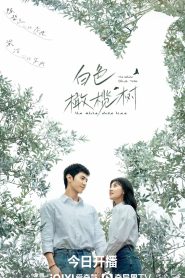 ซีรี่ย์จีน The White Olive Tree (2025) ปลูกรักพักใจ ใต้ต้นมะกอกขาว ซับไทย