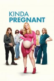 Kinda Pregnant สตรีมีคัน (2025) NETFLIX