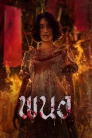 พนอ Panor (2025)
