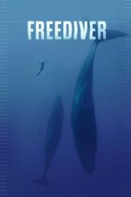 Freediver ดำดิ่งทะลุขีดจำกัด (2024) บรรยายไทย