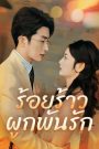 ร้อยร้าวผูกพันรัก ( กิตติชัย มรกต ) EP1-EP70 จบ