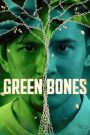 Green Bones ภารกิจยุติธรรม (2024) บรรยายไทย