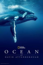 Ocean with David Attenborough (2025) บรรยายไทย