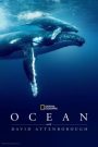 Ocean with David Attenborough (2025) บรรยายไทย